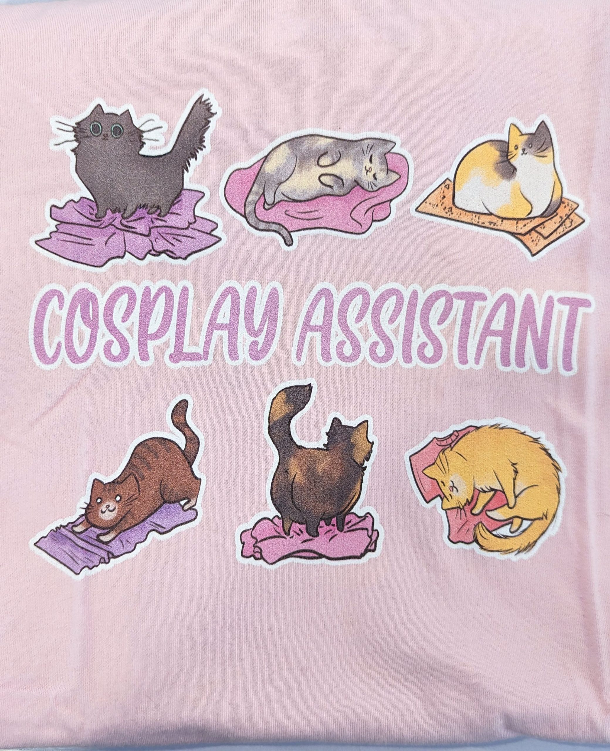 T-Shirt: Cosplay Assistant